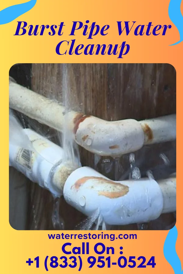 Burst Pipe Water Cleanup in South Cle Elum, WA