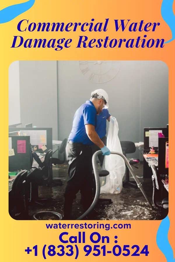 Commercial Water Damage Restoration in South Cle Elum, WA